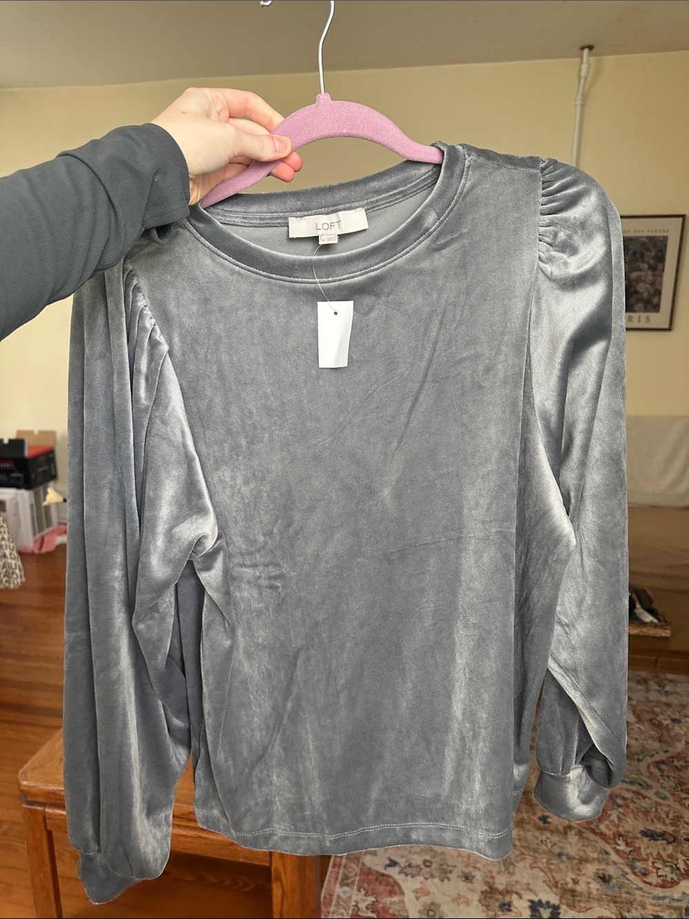 LOFT Silver-Gray Velvet Long-Sleeve Puff-Shoulder Top
